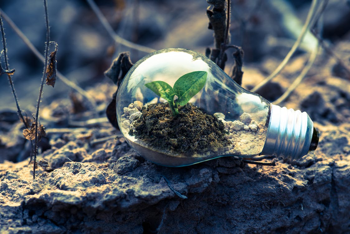 proyectos propios agrifood